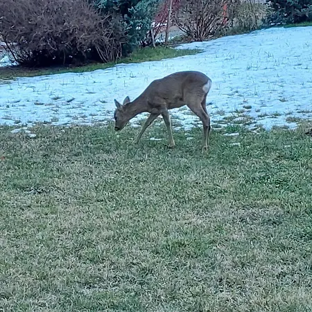 Chez Pierre * Praz-de-Fort