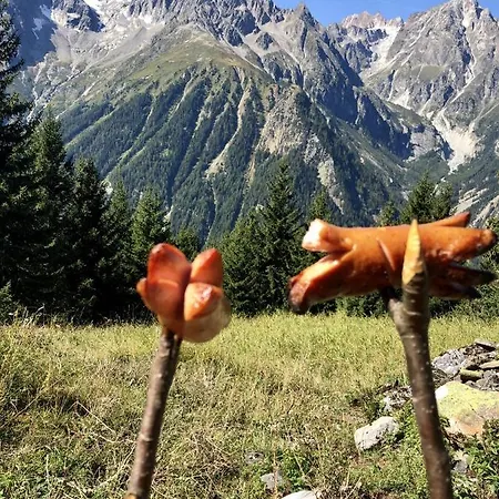 Chez Pierre Praz-de-Fort