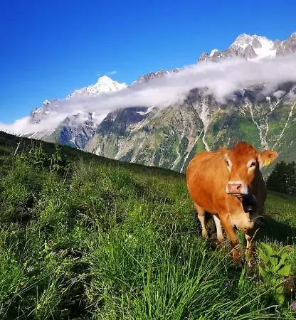 Chez Pierre דירה