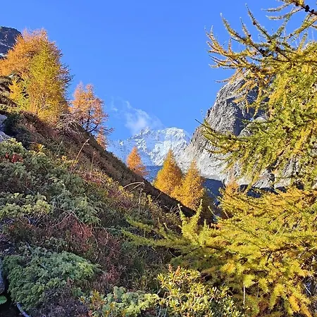 Chez Pierre דירה