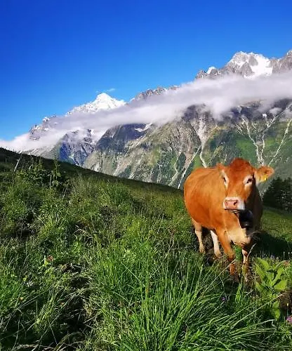 Chez Pierre Διαμέρισμα