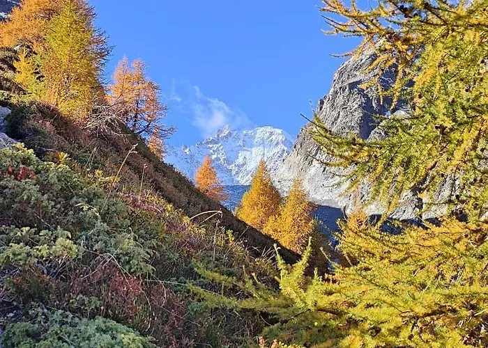 Chez Pierre Appartement