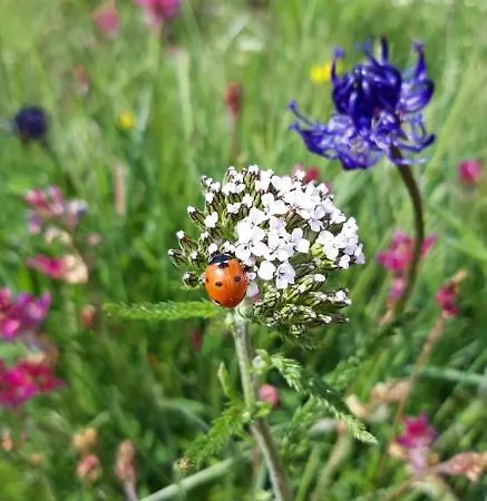شقة Chez Pierre Praz-de-Fort