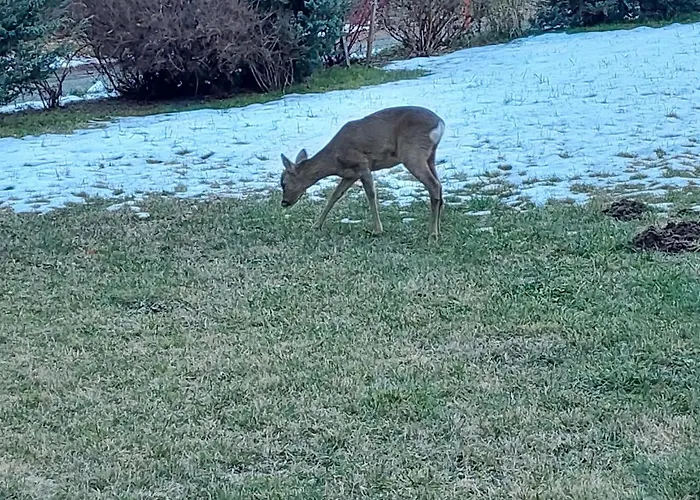 Chez Pierre * Praz-de-Fort